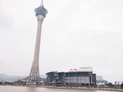 -澳门环岛游湾仔码头