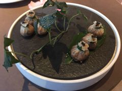 云南黑虎掌菌布袋-三利音·东方司宴(外滩店)