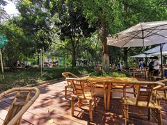 -成都市活水公园