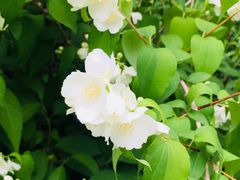 -碓臼峪自然风景区