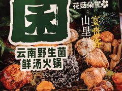 -花菇朵·云山雀 ll 野生菌火锅·精品云南菜(万柳店)