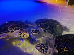 -西安华夏文旅水世界