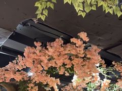 -城墙拐拐火锅(三峡广场黑金冠店)