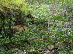 -藏龙百瀑风景区