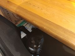 -生烫牛肉粉