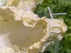 -红鼎豆捞·非遗鲍皇汤火锅(宝丰路店)