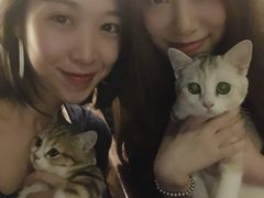 -咖法森林·咖啡  酒吧(天河店)