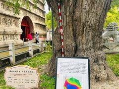 -北京石刻艺术博物馆(五塔寺)
