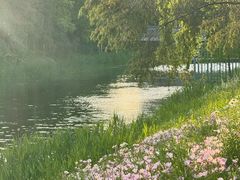 -昆山城市生态森林公园