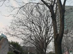 -麦田工坊(月湖店)