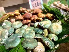 -昆虫窝子·特色云南菜(拓东路总店)