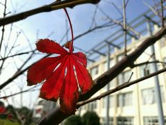 -苏州国际教育园