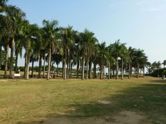 android_upload_pic-华侨公园