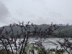 -新安江山水画廊风景区
