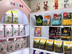 -青奢宠物·青奢猫舍