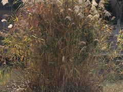 -重元寺香积厨素斋馆