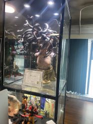 -木子·纹身店TATTOO穿孔·洗纹身