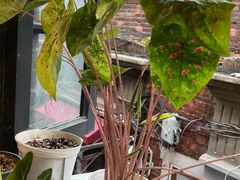 -如果·追梦手工皮具DIY教学店(田子坊店)