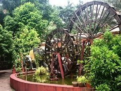 -品德宏·孔雀宴的发源地(金塔园店)