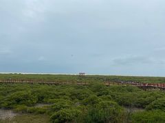-北海金海湾红树林生态旅游区