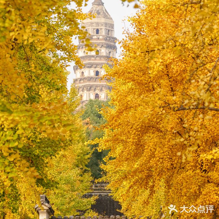 苏州赏秋 🍂本地人推荐(实地打卡分享)