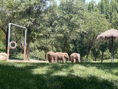 -北京野生动物园