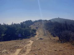 -阳台山自然风景区