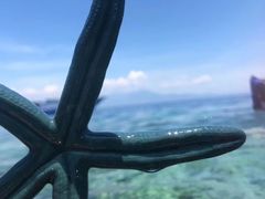 -海盗餐厅