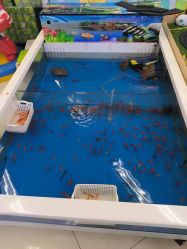 -孩子王(铁西万达店)