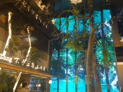 -桂满陇·海市蜃楼·黑金(国金店)