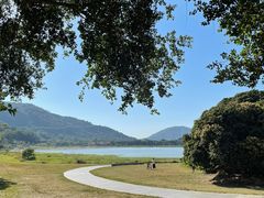 -风云岭森林公园