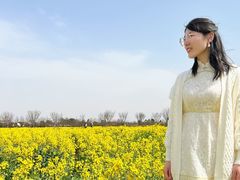 -金卉庄园