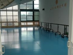 -西安小天鹅艺术团(曲江Alice店)