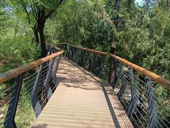 -白水寺森林公园