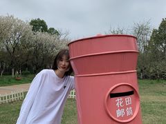 -杭州湾海上花田景区