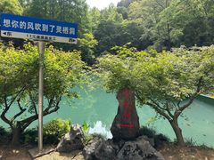 -灵栖洞天