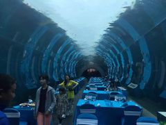 -海棠湾洲际-涛·海底餐厅·美人鱼·自助餐·海底隧道