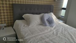 -海豚湾高端月子会所(黄浦店)