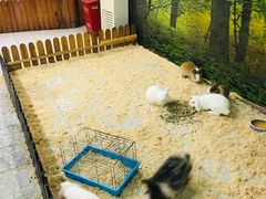 -上海大自然野生昆虫馆(东方明珠·爬宠昆虫探索中心)