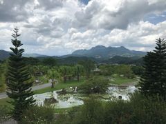 -中国科学院西双版纳热带植物园
