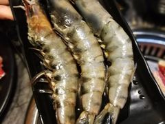 -熊出没日本烧肉放题