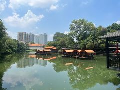 -侨美·唐荔园·40年地道粤菜