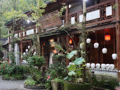 -青城甲(青城山店)