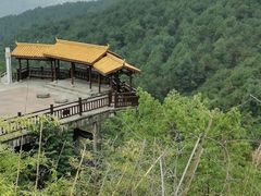 -铁山坪森林公园