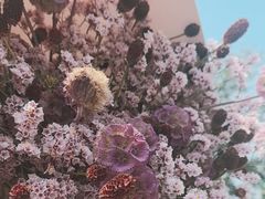 -花鸟鱼虫鲜花绿植市场(玉泉路店)