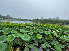 -西海子公园