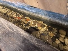 -邈墨茶馆(凤起路店)