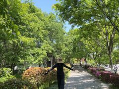 -紫金山山顶公园