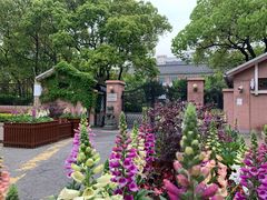 -上海市曹杨第二中学