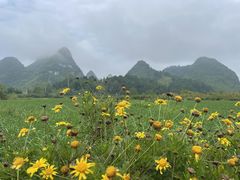 -靖西鹅泉风景区